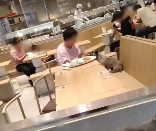 女子在餐厅与宠物狗共用餐具网友一起用餐一起睡觉