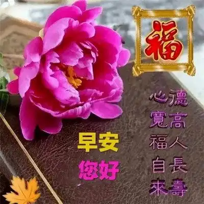 2023最新早晨好早上好漂亮问候祝福图片头像