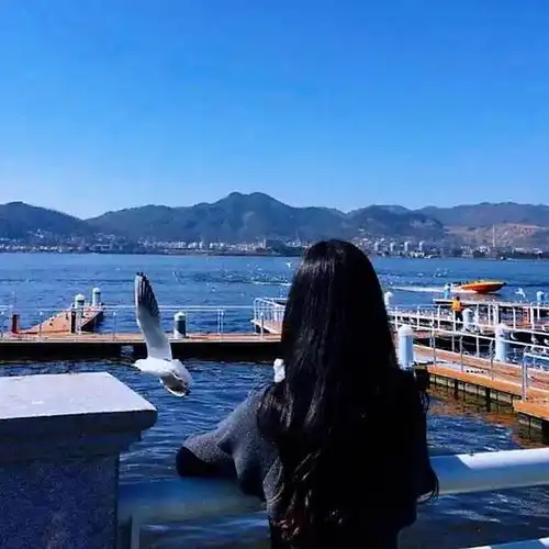 头像女真人背影海边