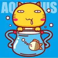 猫趴在人脸上卡通头像微信头像图片大全