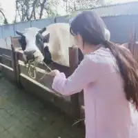 女生头像非主流不带字对自己微微笑别再赌气