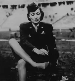 二战时期这些德国女兵为何称之为军官们的床垫