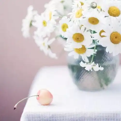 余生,做一个正能量的人,照亮自己,温暖别人生活