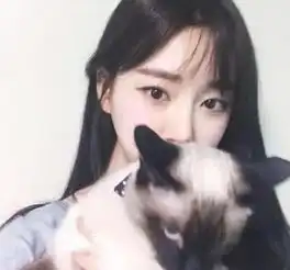 qq聊天时,越是渣女越喜欢将这4句话挂在嘴边,别被骗了