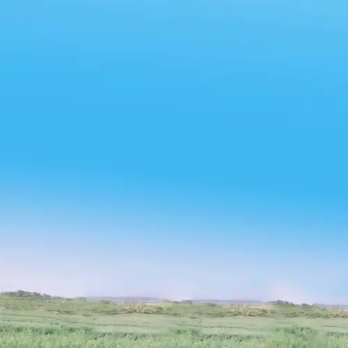 2021新的一年有什么好看的女生头像吗