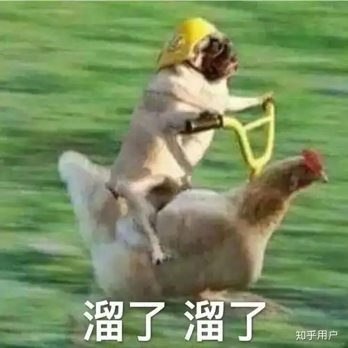 女生可以内向害羞到什么程度