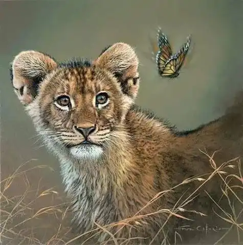 比相机还清晰,看这样的画舒服