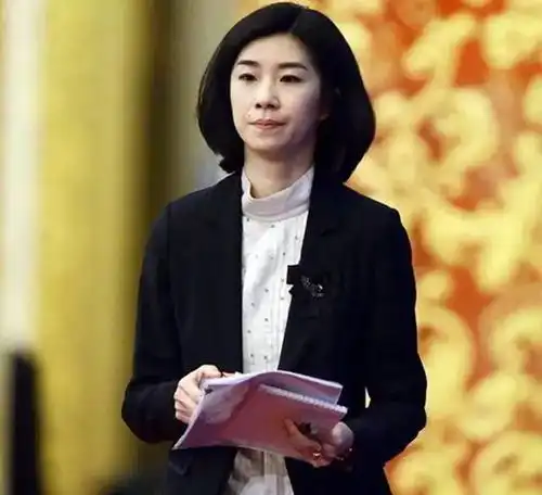 首席翻译官张璐升职,不仅被她的冷面震慑,更被专业才华折服