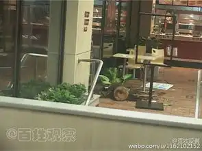 郑州三名嚣张男殴打陌生女孩袭警称家里有背景