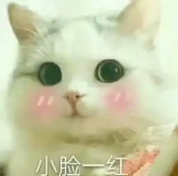 额头比较高的女生适合中分发型吗