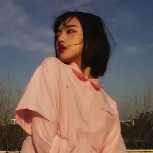 高级的女头像雁过留痕