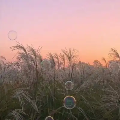 落入凡间的温柔仙句星河滚烫你是人间理想,夜风寒凉你是人间火光