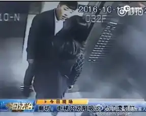 廊坊一女子电梯内劝阻男子吸烟遭暴打警方追凶