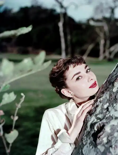 为什么所有人都认为赫本的美惊为天人