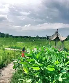 万千少女迷恋的那年花开,取景地更加撩人,合肥出发才2小时