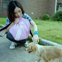 爱宠物的女生是最可爱的天使