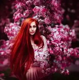 一位女摄影师拍的,美得太养眼