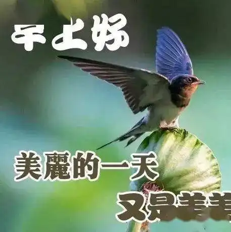 人与人最短的距离叫拥抱,人与人最长的距离叫等待,早安