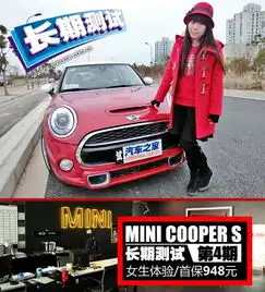 激情四溢的第二选择mini长期测试总结