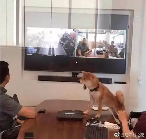 女子反锁房中企图自杀只因老公不给买奶茶