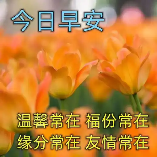 珍惜当下生活的唯美句子,早安心语很治愈的文案