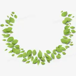 绿色叶子藤蔓植物边框png图片素材免费下载png格式11811181像素熊猫办公