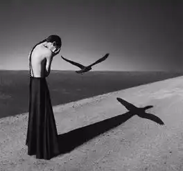 摄影师头像女性的纹身