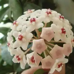 面相婚姻算命女生跟老公离婚以后自己也能够过得很美丽的面相