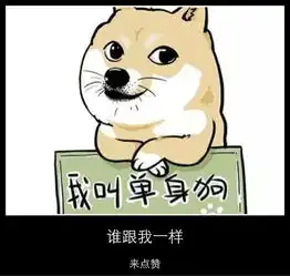 相亲对象是做私募的手把手教你完成筛选王思聪除外