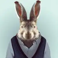 女生头像卡通动物可爱呆