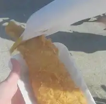 女子海滩上遭遇海鸥打劫刚买的食物被抢走