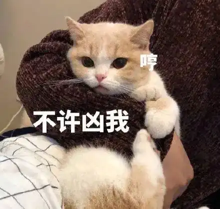 很皮的女朋友表情包晚什么安,我巴不得你想起我,夜不能寐