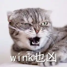 霸道总裁喵星人,女生专用表情包