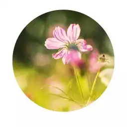你来,就是我的朋友