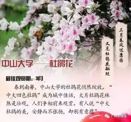 3月赏花节,如何在对的时间邂逅美丽校花