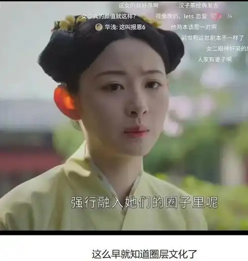 网络词汇能不能滚出古装剧古代人没有这样说话的