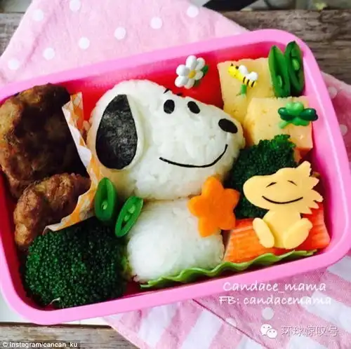 巧手妈妈巧做卡通便当帮助女儿交到新朋友