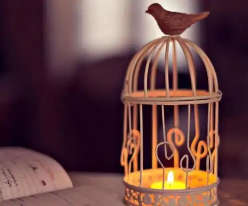 追书神器免vip可以尊享会员