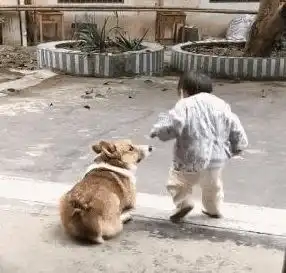 2岁女童被狗绊倒,其母上前理论,不料反被男子一顿胖揍