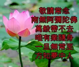 女人老实了怎么办