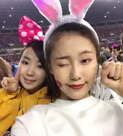 在周杰伦演唱会上手撕前任,小仙女被发现是炒作小仙女回应了