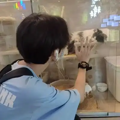 千鹤男头自裁抖音帅哥梁男生头像我要个性网