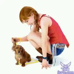 photoshop鼠绘女孩和她的爱犬