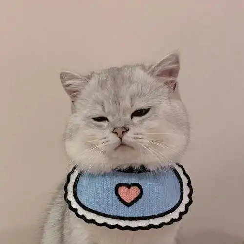收割招财萌猫头像,好运气100000000000