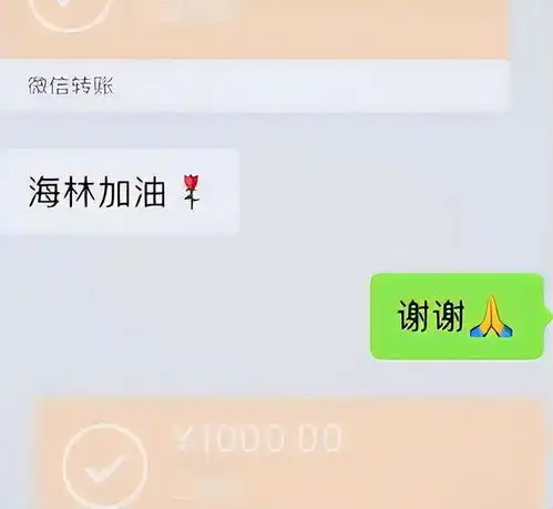 不可思议,2015年河南女儿,跟陌生人借款30万,后来她还上了吗