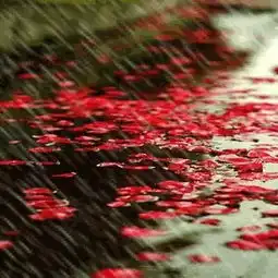 纪念父亲逝世二十周年祭文