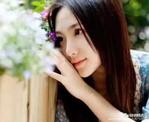 能否,再爱你一次