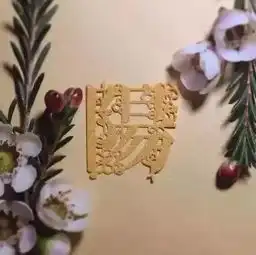 当汉字遇上剪纸