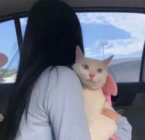 不露脸的女生头像也很好看
