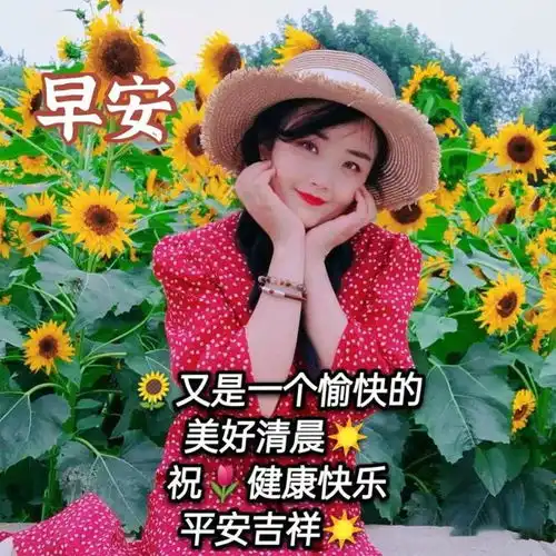 2024年6月5日早安图片,千万别为难自己,尽力而为,量力而行,做个快乐的自己清晨童心好运网易订阅

